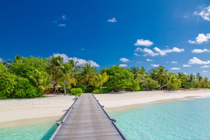 Dock over clear blue waters leading to tropical beach