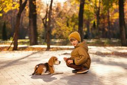 Little boy walk dog