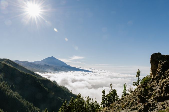 Hills covered with forest in sunny day