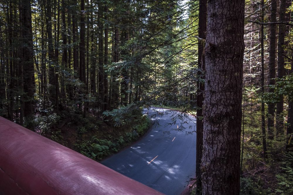 Looking down from wooden walkway at road