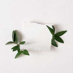 Green leaves and light  paper note