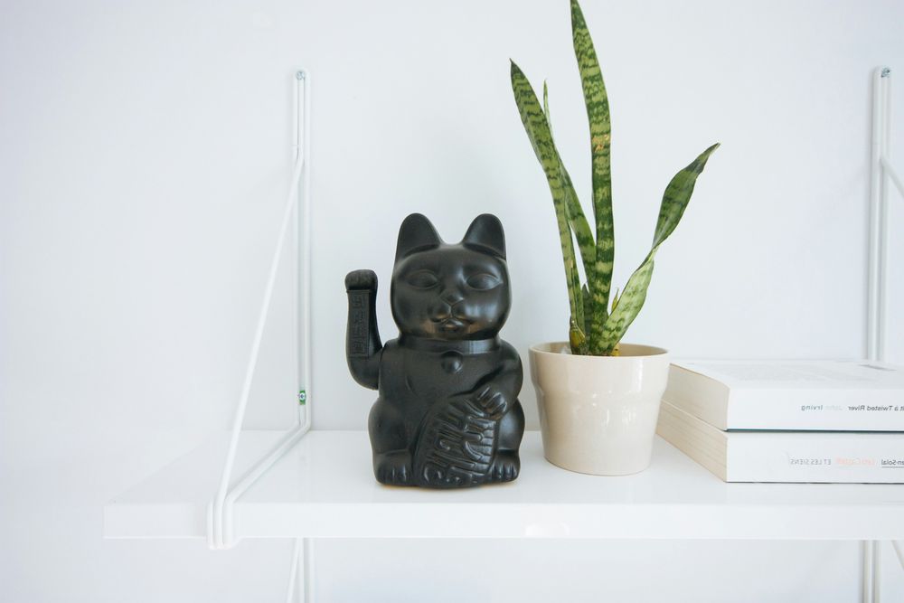 Maneki Neko Cat Figurine and Houseplant on Shelf