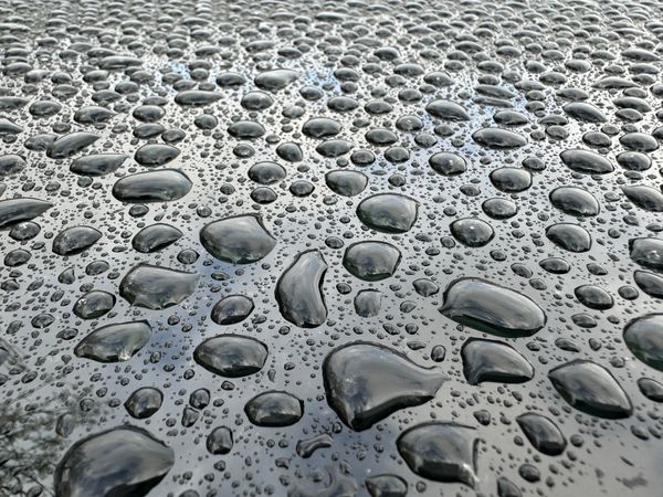 A wet surface with many small water droplets scattered across it
