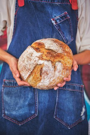 Photo detail of female hands holding an artisan bread broken in half with a blue kitchen apron.