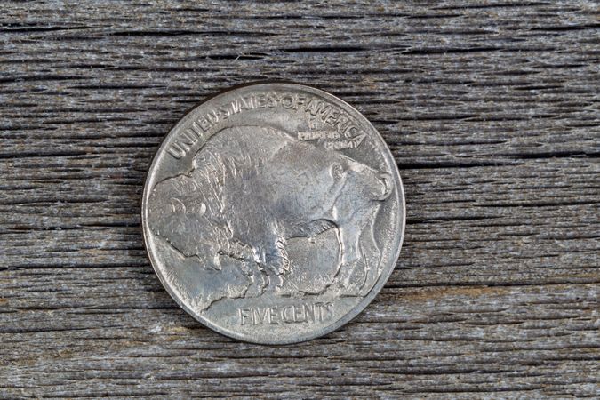 American Buffalo Nickel on old Wood