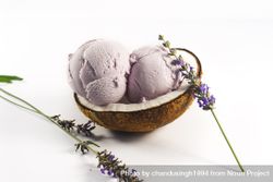 Coconut shell with purple lavender ice cream and flowers 4dOxa5