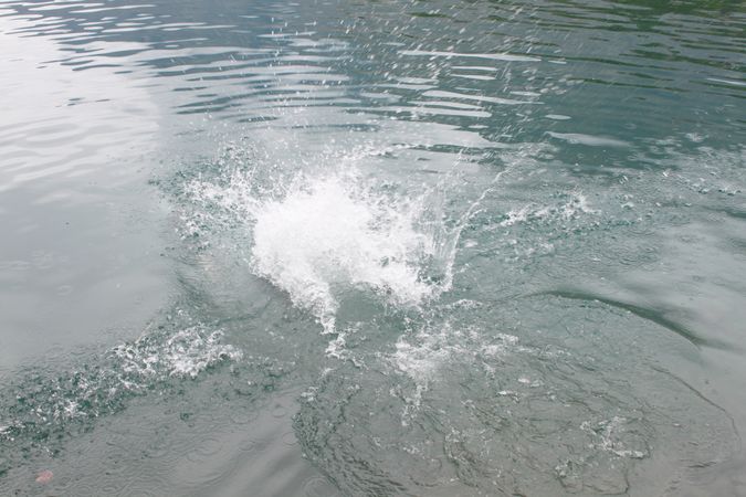 Splashing in lake