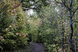 The Oberg Mountain Trail Head in Tofte, Minnesota