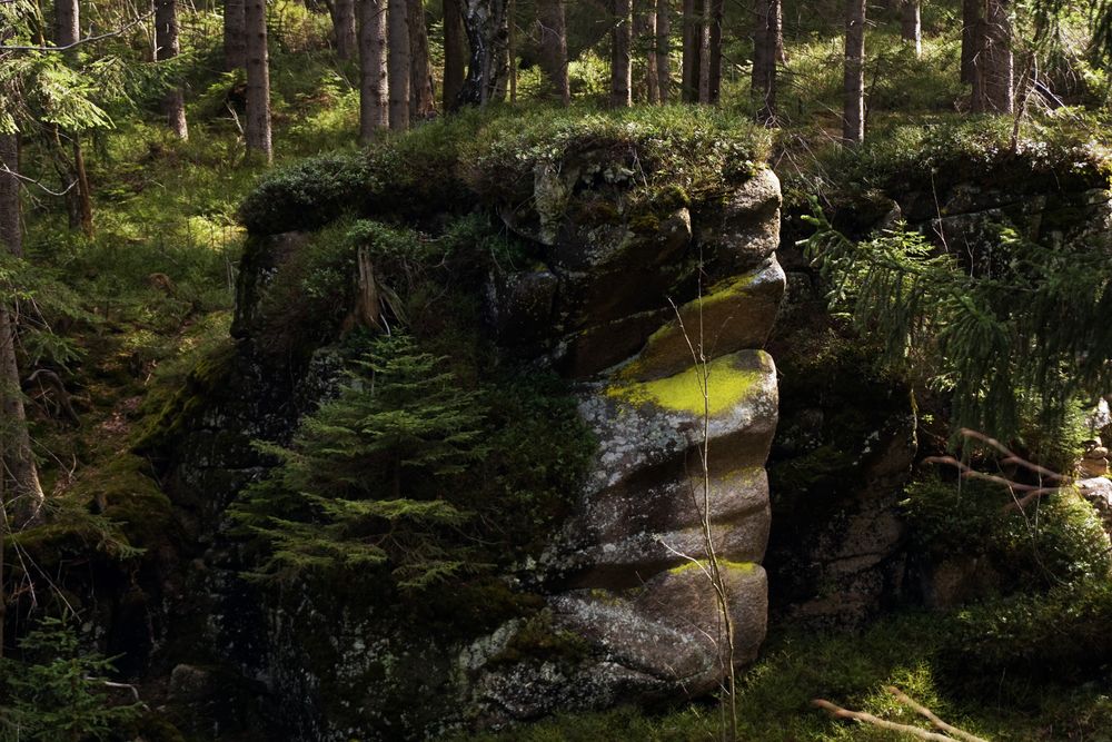 Stones overgrown with moss in green woods
