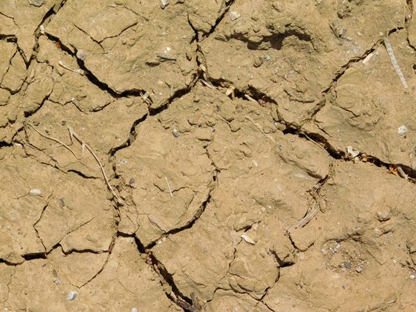 arid land