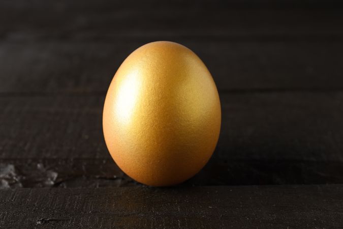 Golden egg, pension savings, investments and retirement