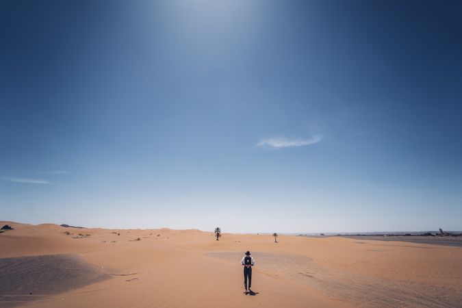 Bearded cowboy in desert