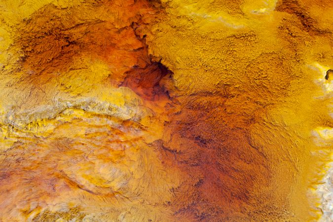 Bright orange splashes in nature