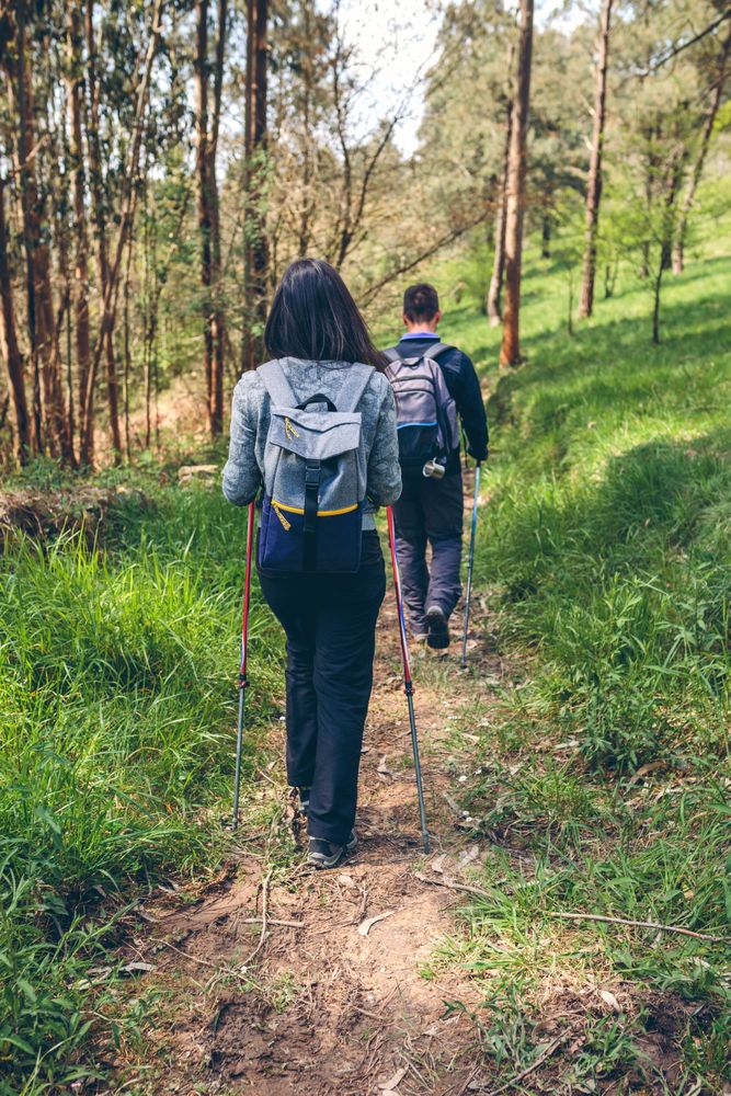 Couple of hikers doing trekking