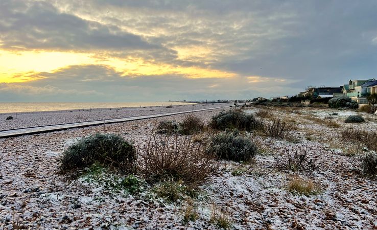 Snow on vegetated beach