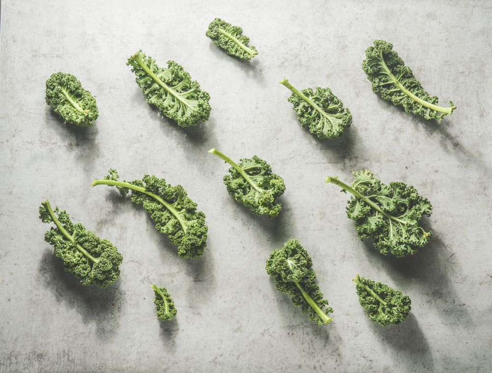 Kale pattern with raw green leaves at grey concrete kitchen table with sunlight