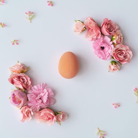 Creative layout made of colorful spring flowers around egg