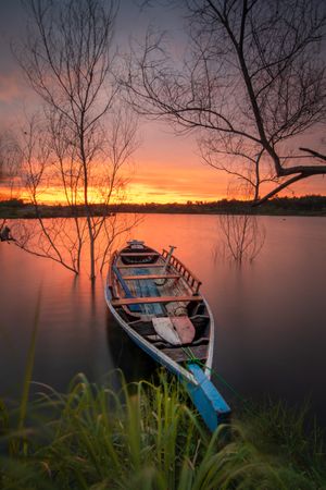 Canoe between bare trees on water during sunset