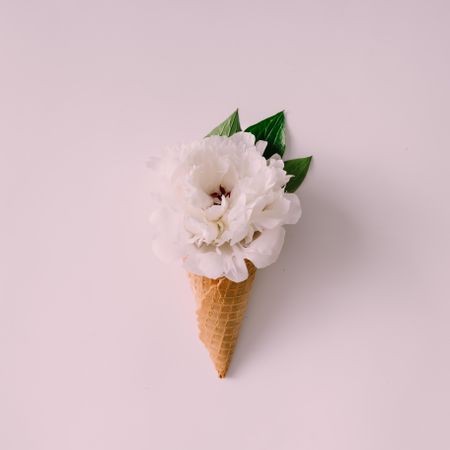 Ice cream cones with big flower