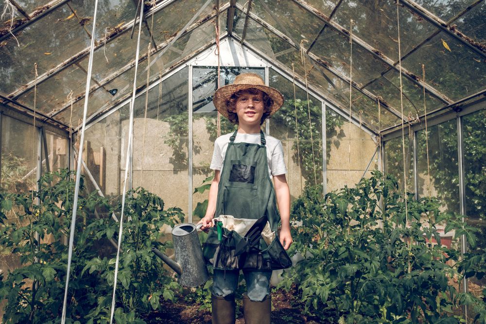 Preteen boy gardener with watering can in glasshouse