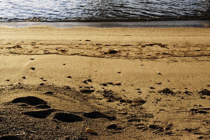 stones on wet sand on beach