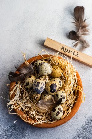 Easter card concept with top view of speckled eggs in bird's nest