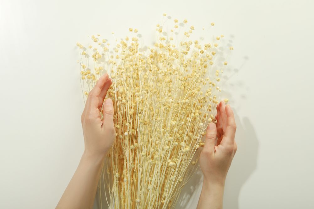 Hands arranging dried flower bunch in bright room