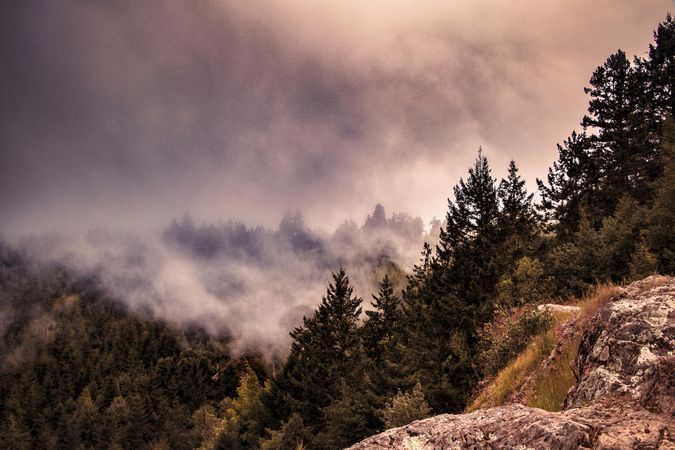 Boulders and trees on foggy mountains