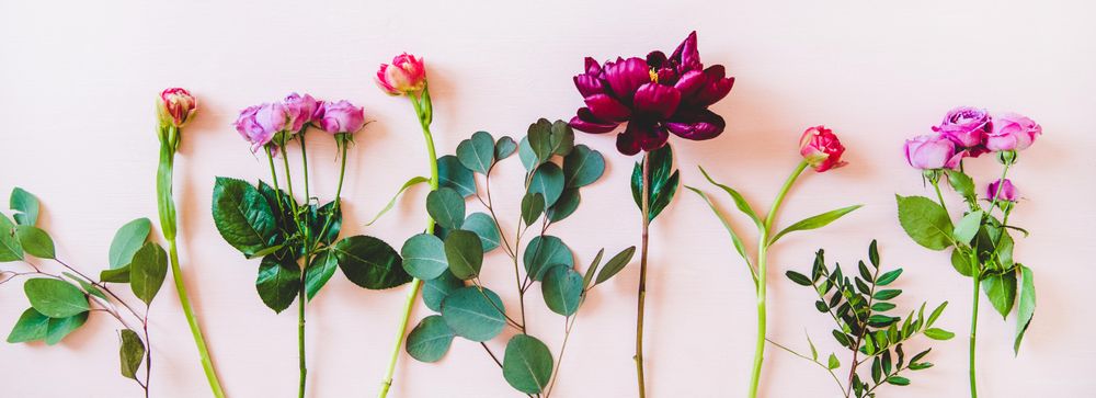 Various sorted single summer flowers flat-lay, wide composition