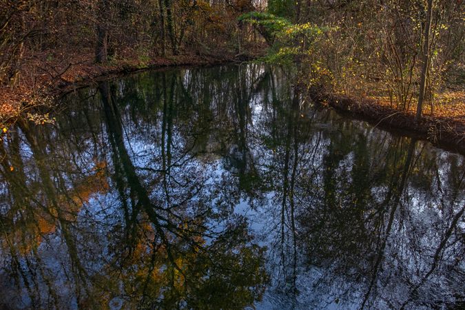 Pond in the forest in the fall