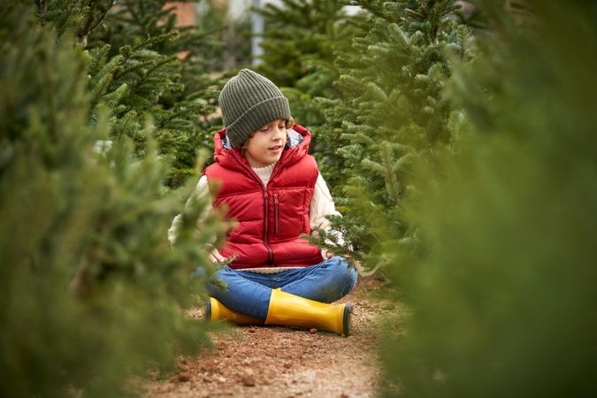Adorable kid sitting among green New Year trees