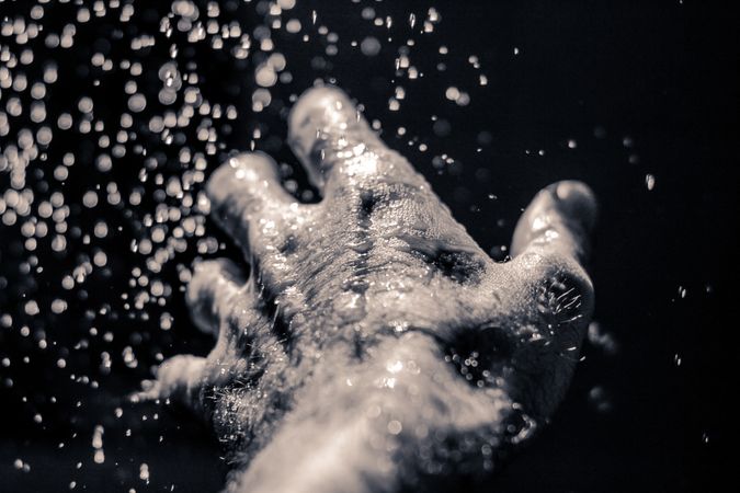 Grayscale photography of left human hand with water drops