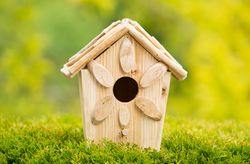 Birdhouse outdoors during summer day