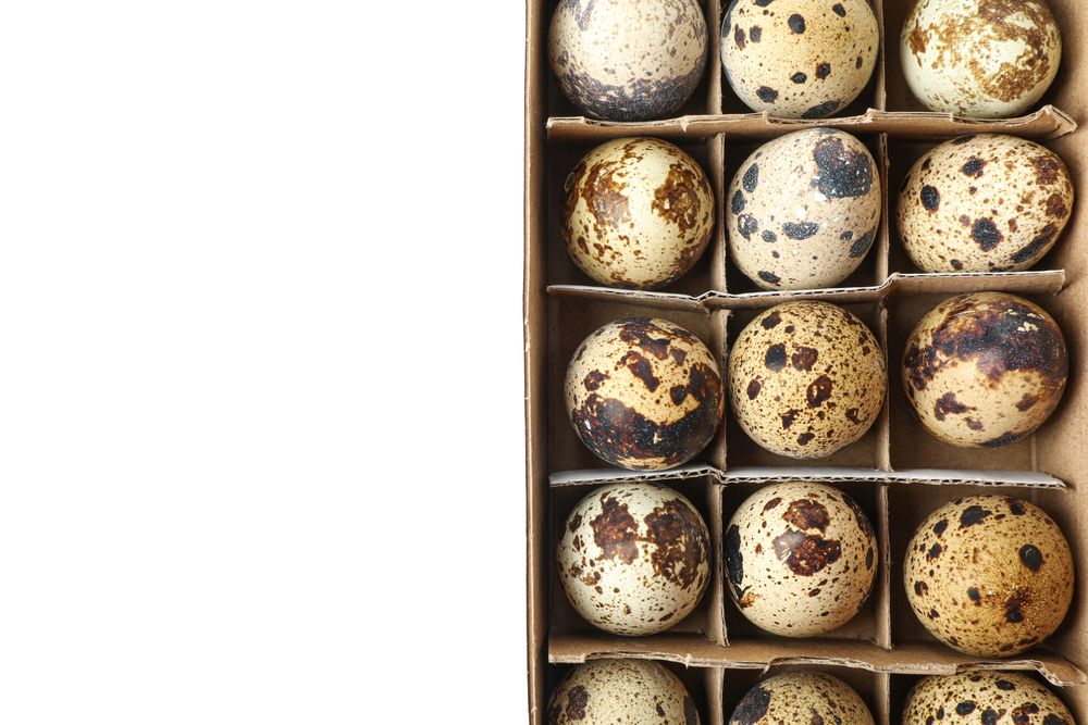 Quail eggs in carton box isolated on light background, top view