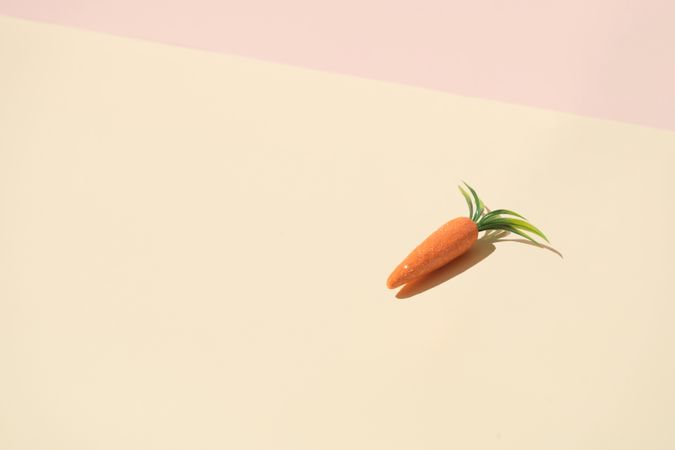 Carrot on pastel yellow background