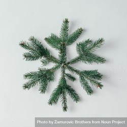 Snowflake made of green Christmas tree branches bEWNM5