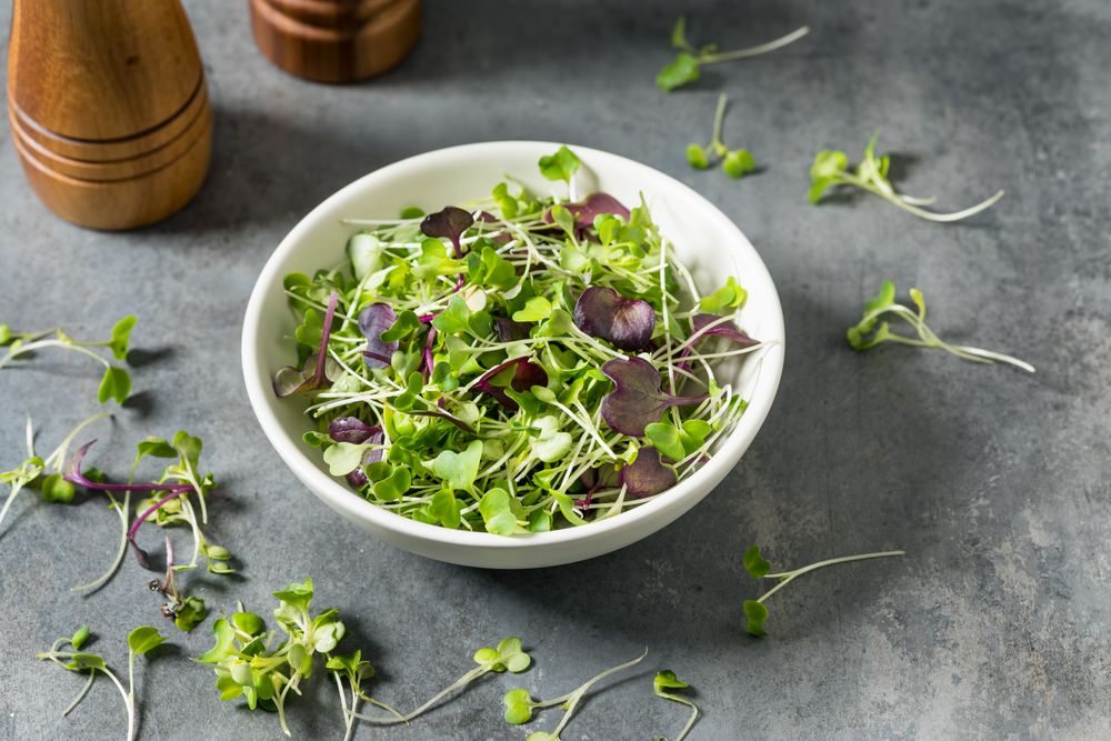 Organic Raw Green Microgreens