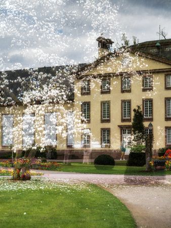 Blooming Orangerie park in Strasbourg. Magnolias, tulips, roses. Double exposure. Postcard.