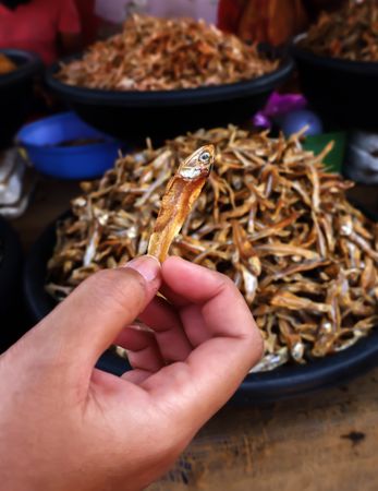 Assorted Dried Fish and Spices at Local Market Stall