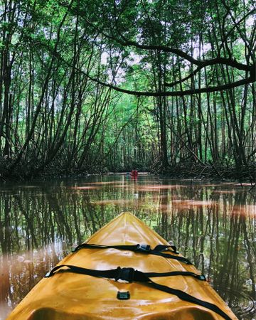 Yellow kayak floating on river under trees