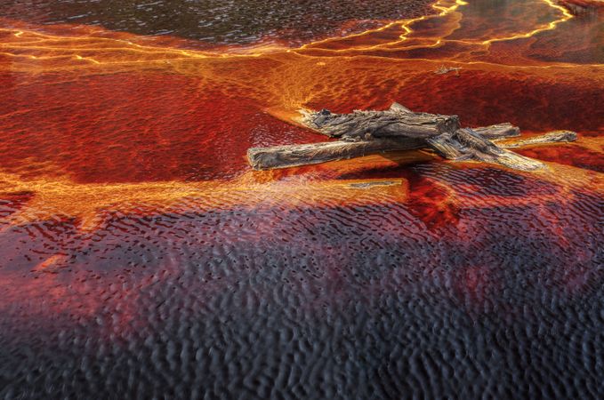 Bright orange splashes in nature