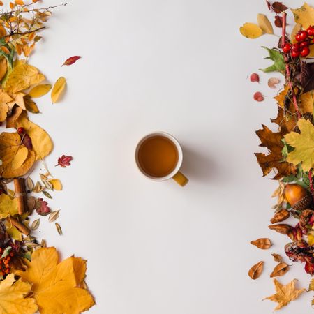 Autumn leaves with coffee on light background