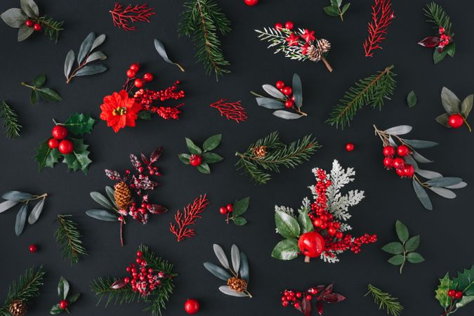 Holiday branches on dark background
