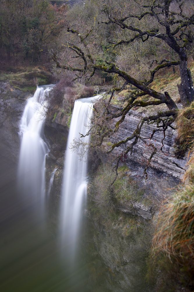 Autumn tree and waterfall