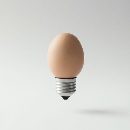 Egg lightbulb on light background