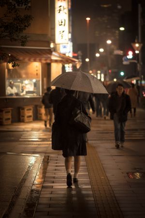 Back view of person holding an umbrella walking in the street at night in Japan