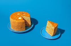 Medovik, homemade honey layered cake, isolated on a blue background