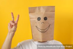 Person making peace sign with hands with paper bag on his head 0Vp8v4