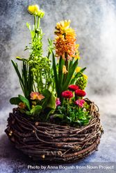 Nest spring composition with colorful flowers 56GgQV