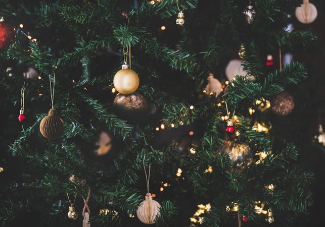 Assortment of festive decorations, red, gold, green hanging on tree